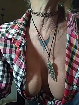 Show de webcam de FrozenWaffle