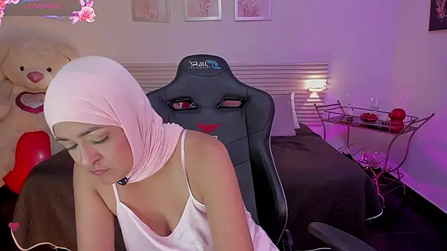 عرض كام New_Arab_Kingdom