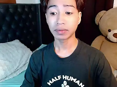 Skye_23n Webbikameraesitys