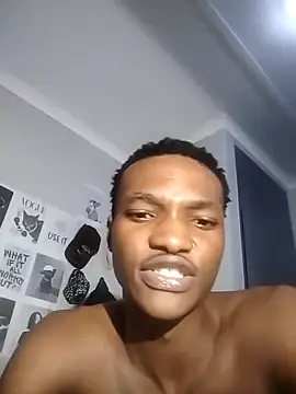 Lue3333n Webbikameraesitys