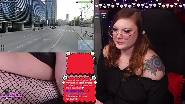 evamilan Webbikameraesitys