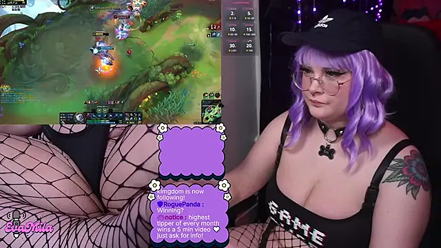 Show webcam de evamila