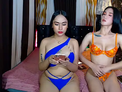 bigasscocktransxxx 웹캠 쇼