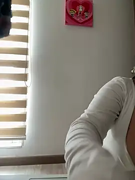 anli5n Webbikameraesitys