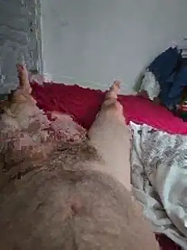 Show webcam de thefox92
