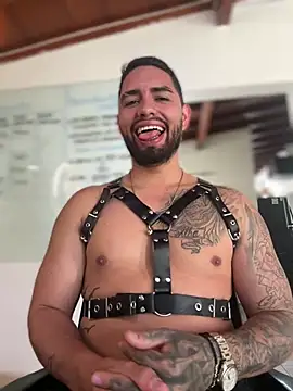 matteosantosn Webbikameraesitys