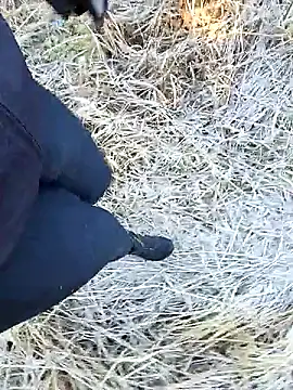 Show de Amatsontrans na webcam