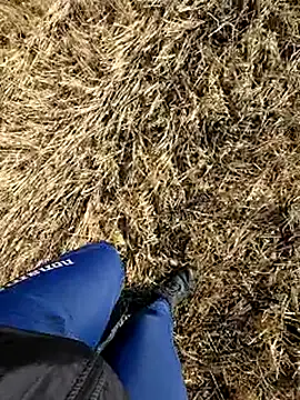 Amatsontrans Webcam Show