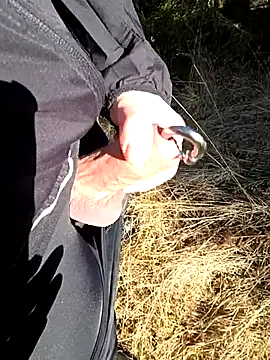 Amatsontrans Webcam-Show