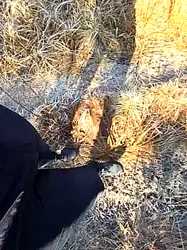 Show Webcam de Amatsontrans