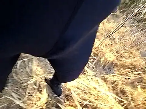 Amatsontrans Webcam show