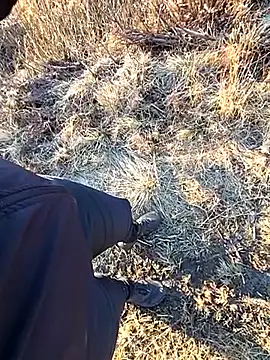 Amatsontrans – Kamerová šou