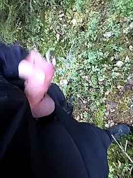 Pertunjukan Kamera Web Amatsontrans