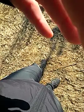 Amatsontrans Pertunjukan Webcam