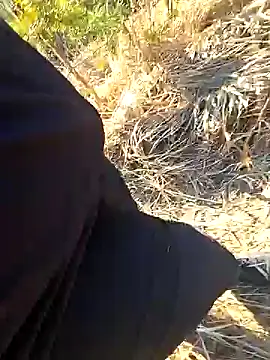 Amatsontrans: διαδικτυακό σόου στην κάμερα