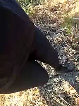 Amatsontrans: вебкам-шоу