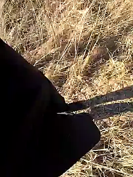 Amatsontrans Webcam-Show