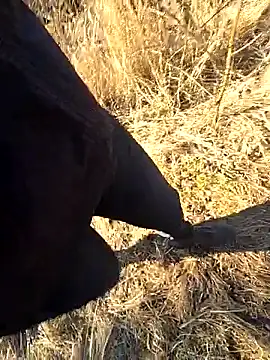 Amatsontrans webcam show