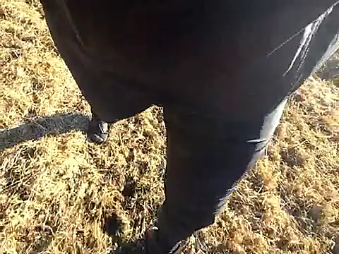 Show de webcam de Amatsontrans