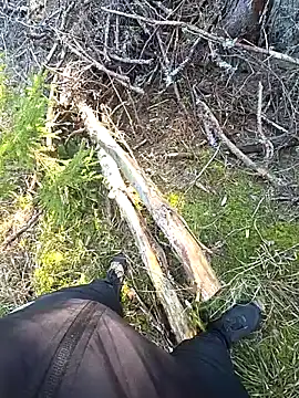 Show webcam de Amatsontrans