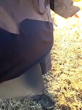 Amatsontrans Show in webcam