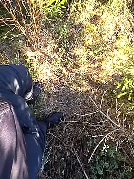 Amatsontrans Webcam Show