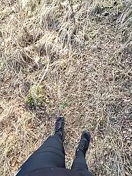 Amatsontrans: вебкам-шоу