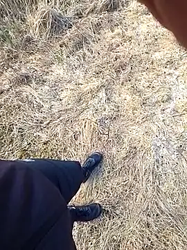 Show Webcam de Amatsontrans