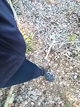 Amatsontrans Pertunjukan Webcam