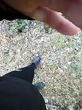 Amatsontrans Adlı Modelin Web Kamerası Şovu