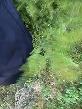 Show webcam de Amatsontrans