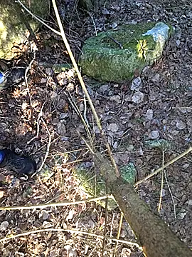 Amatsontrans Adlı Modelin Web Kamerası Şovu