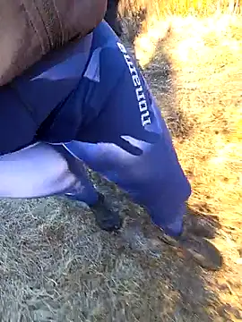 Show de Amatsontrans na webcam