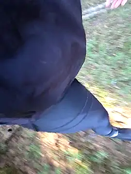 Show Webcam de Amatsontrans