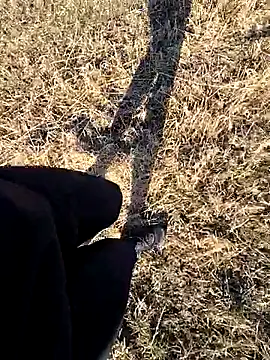 Amatsontrans Webcam-Show