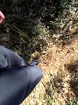 Webkamerová show Amatsontrans