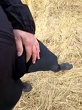 Amatsontrans webcam show