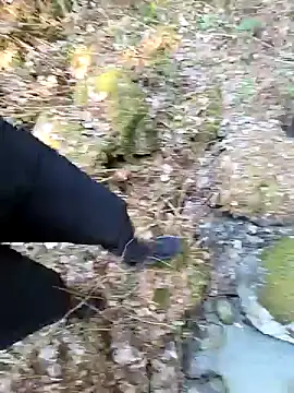 Show de webcam de Amatsontrans