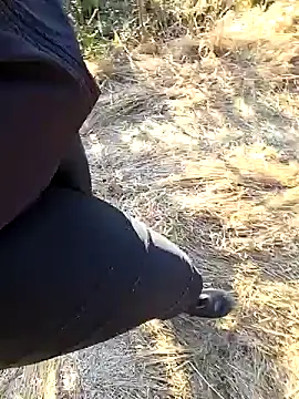 عرض كام Amatsontrans