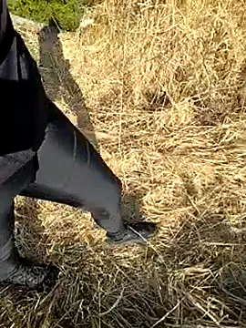 Show Webcam de Amatsontrans