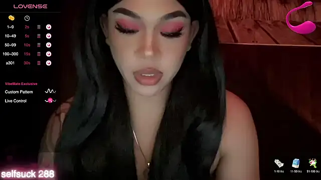madam_agnes1n Webbikameraesitys