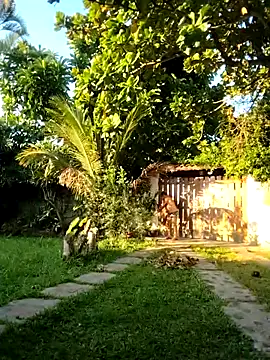 Peludo173317 Adlı Modelin Web Kamerası Şovu