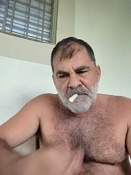 Peludo173317 webcam show