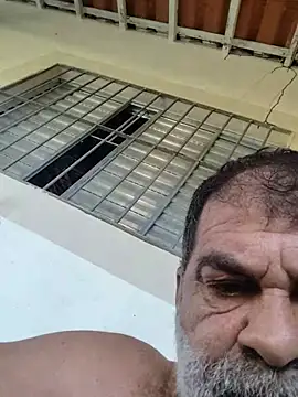 Show de webcam de Peludo173317