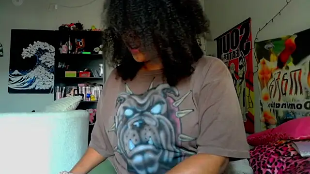 Show de nintendhoe na webcam
