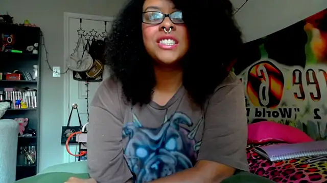 nintendhoe's Webcam Show