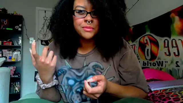 nintendhoe's Webcam Show