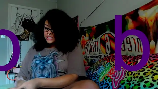 nintendhoe's Webcam Show