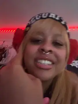 nintendhoe's Webcam Show