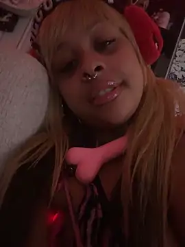 Show webcam de nintendhoe
